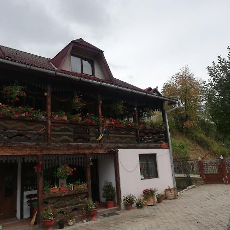 Casa Cozorici Hotel Sadova  Luaran gambar
