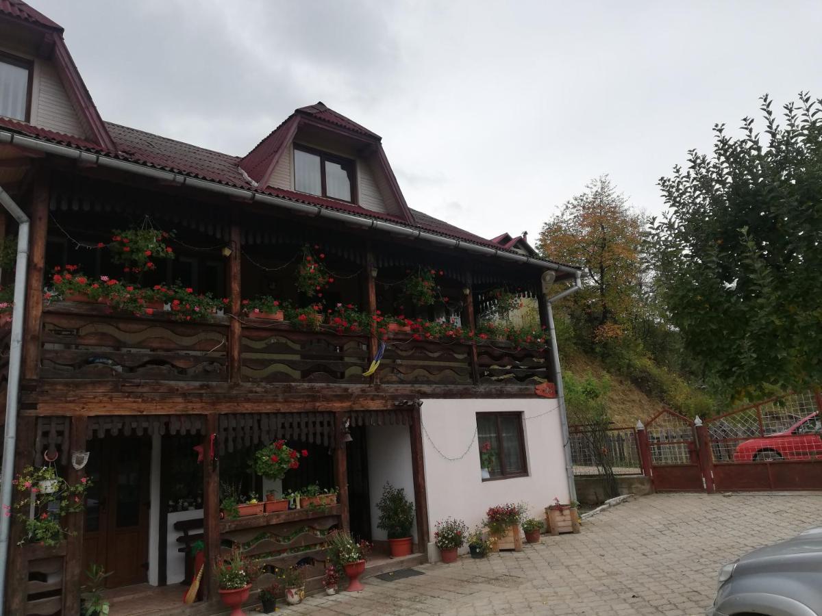 Casa Cozorici Hotel Sadova  Luaran gambar
