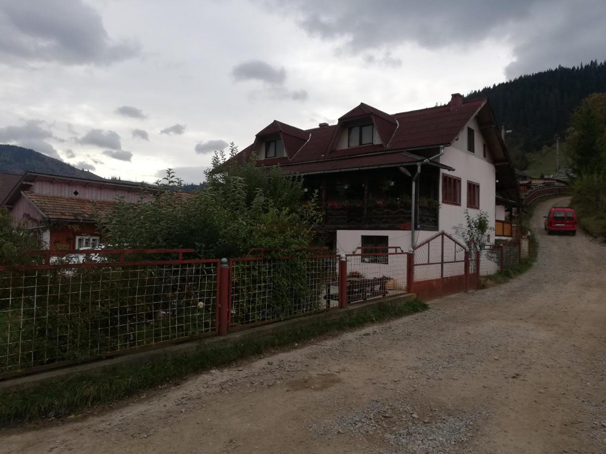 Casa Cozorici Hotel Sadova  Luaran gambar