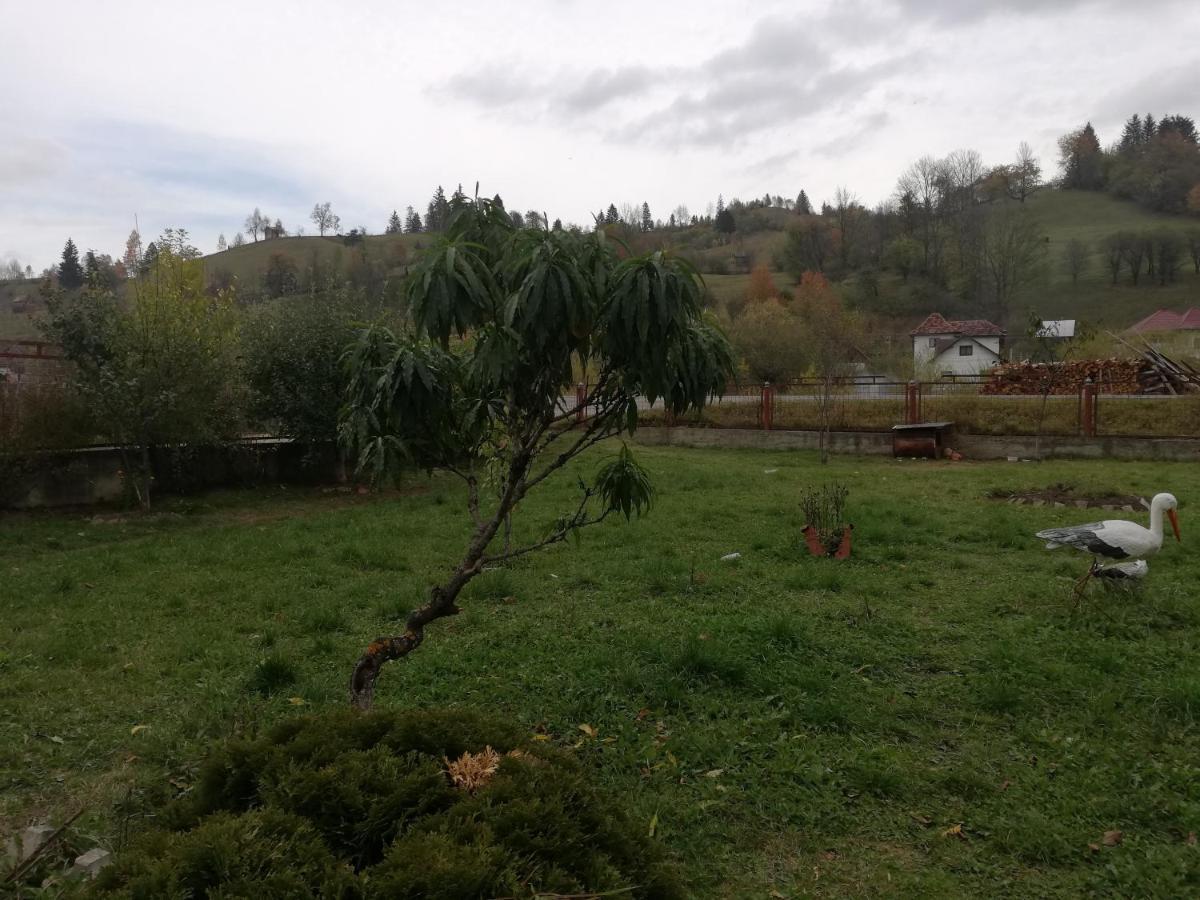 Casa Cozorici Hotel Sadova  Luaran gambar