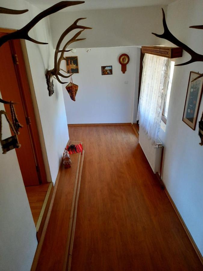 Casa Cozorici Hotel Sadova  Luaran gambar