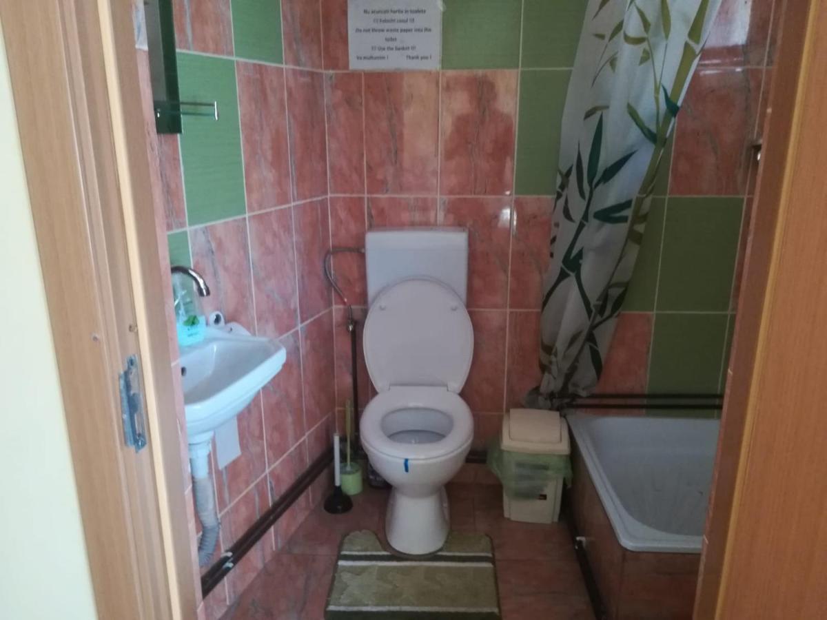 Casa Cozorici Hotel Sadova  Luaran gambar