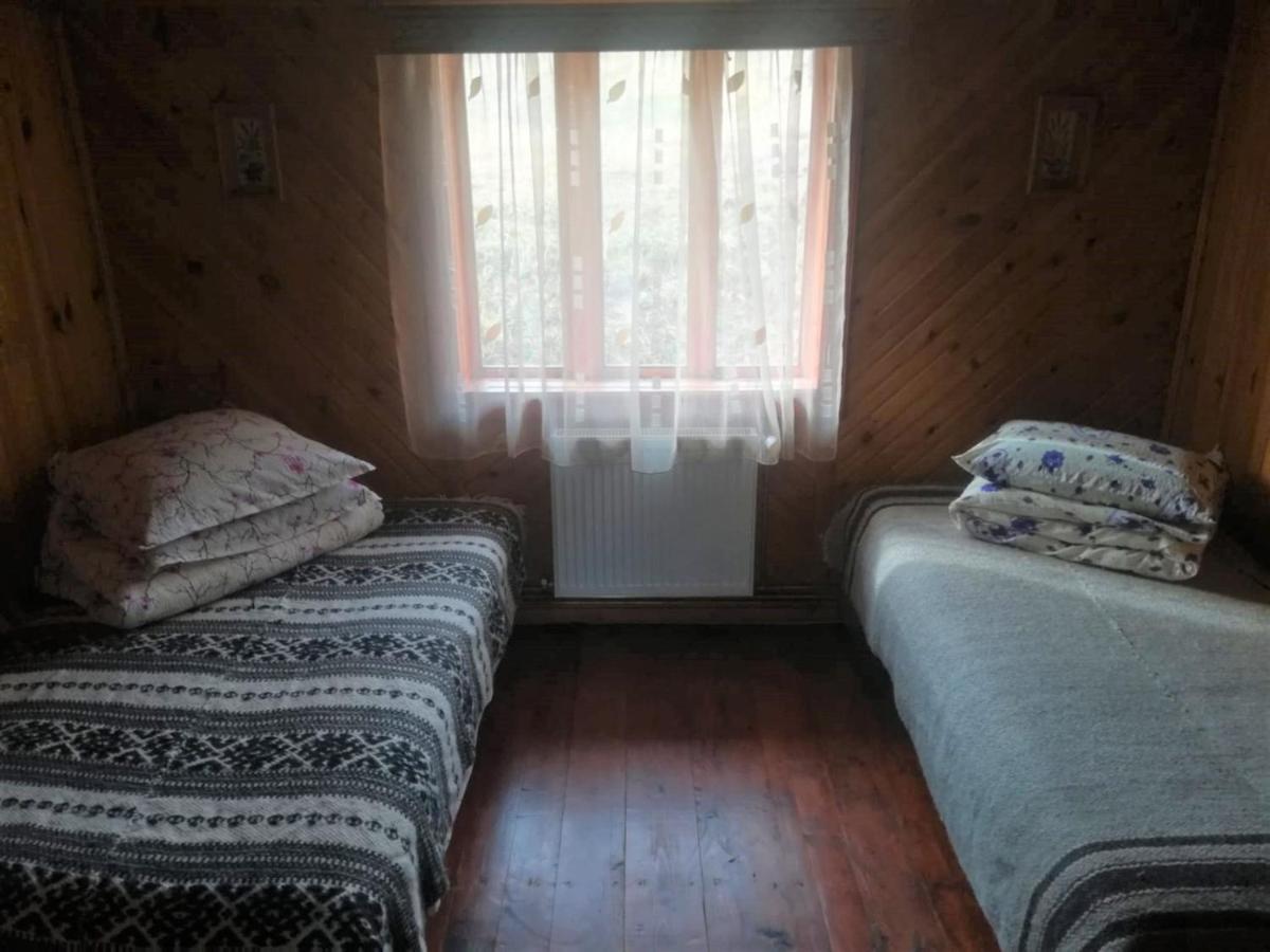 Casa Cozorici Hotel Sadova  Luaran gambar